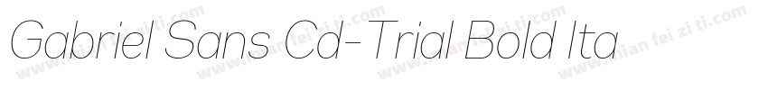 Gabriel Sans Cd-Trial Bold Italic字体转换